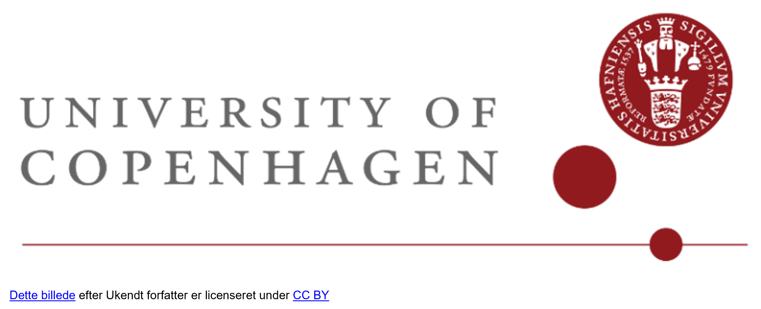 Copenhagen University